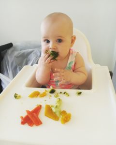 baby led weaning