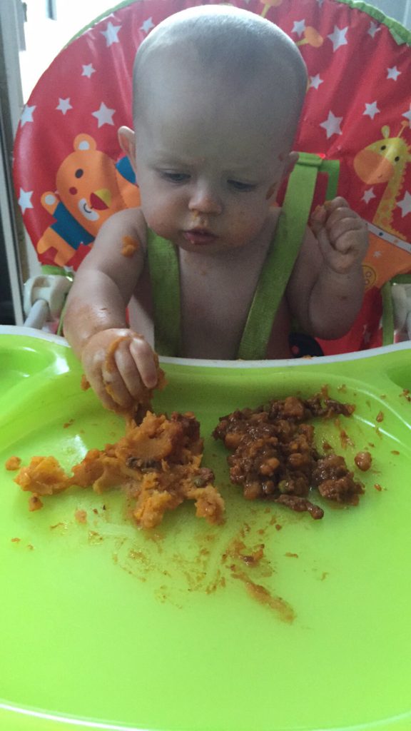 baby led weaning ideas