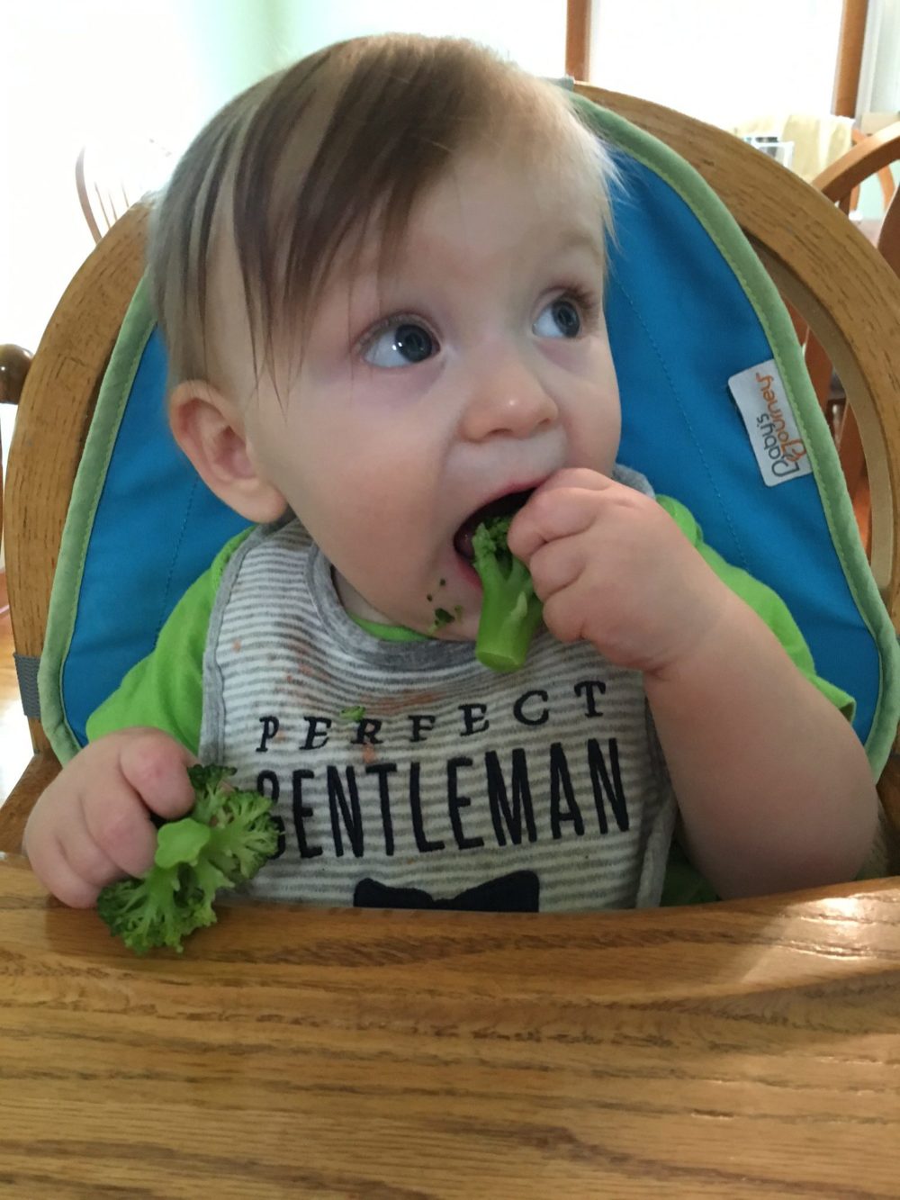 Owen started BLW at 6.5mo… now is 11mo!