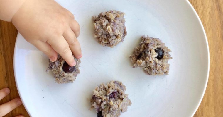 Blueberry Porridge Balls