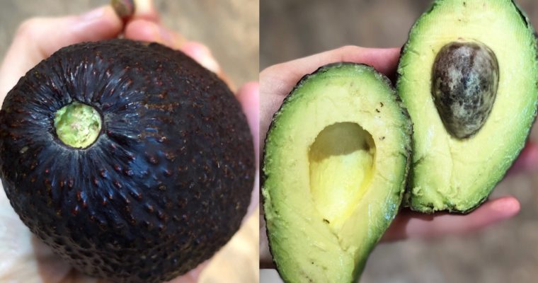 How to tell if you have a ripe avocado? ?