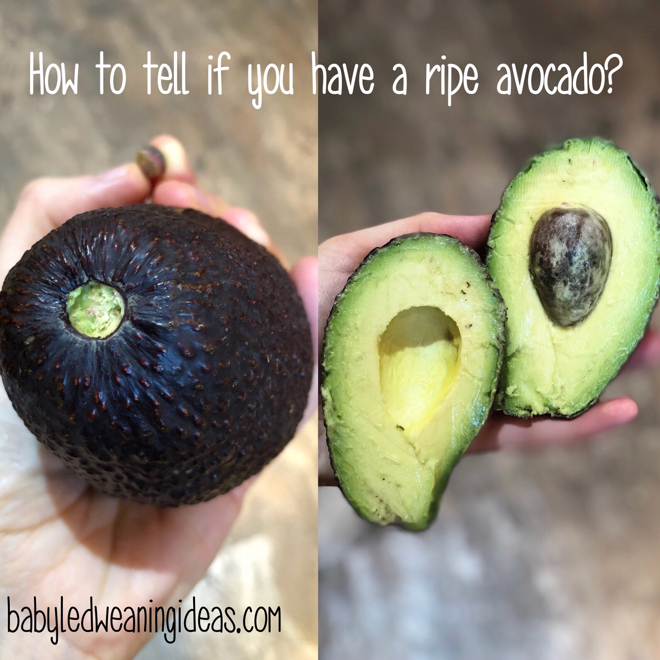 How to tell if you have a ripe avocado? ?