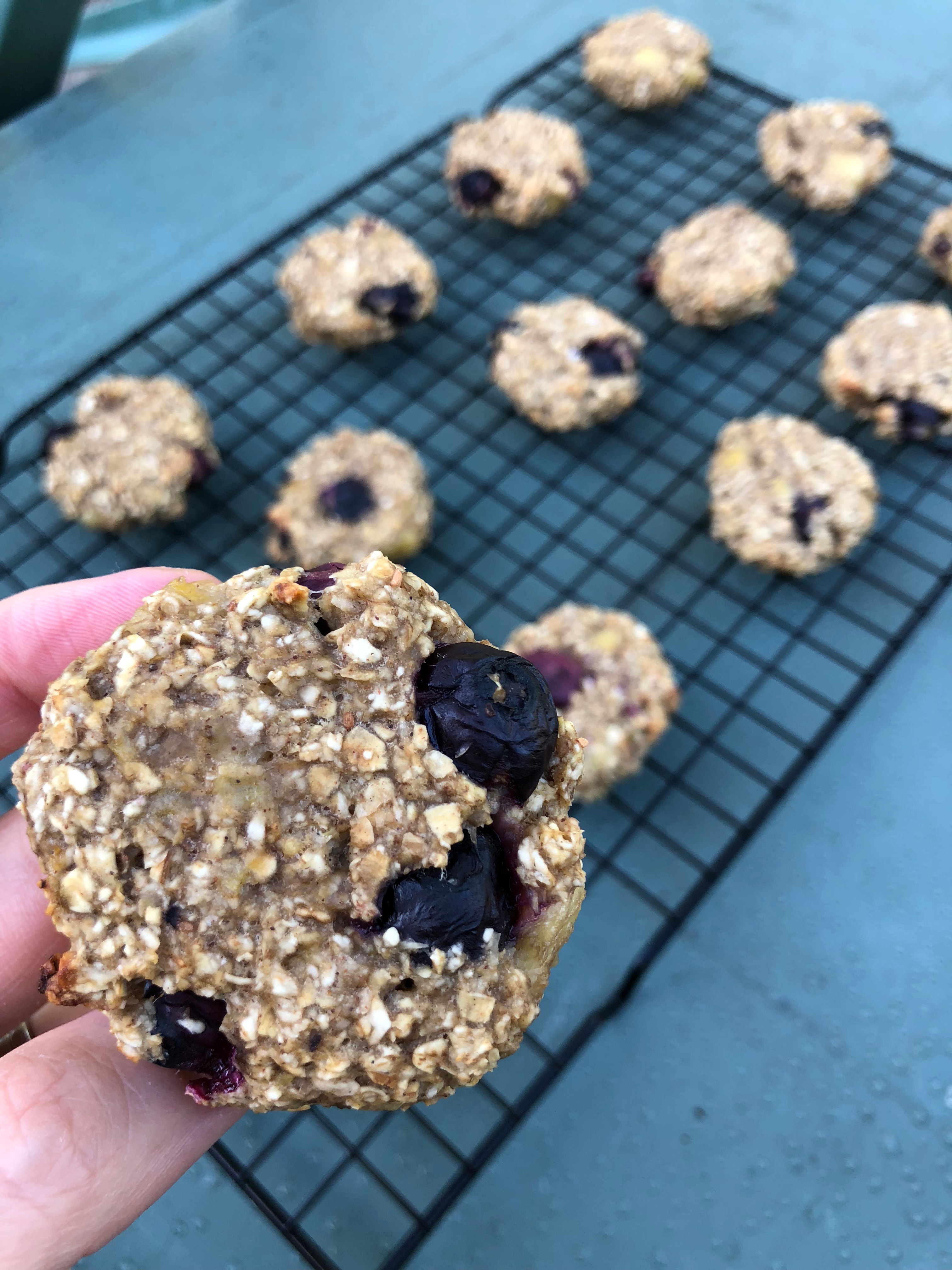 BLW Porridge Bites (5 Ingredients)