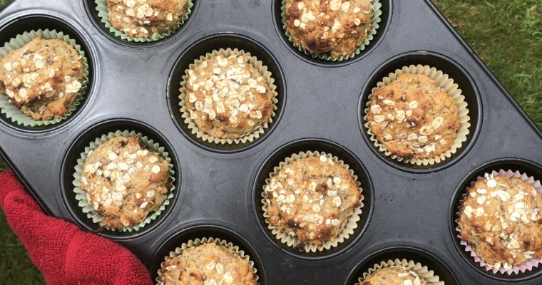 Healthy Oatmeal Muffins (egg free, dairy free, no sugar)