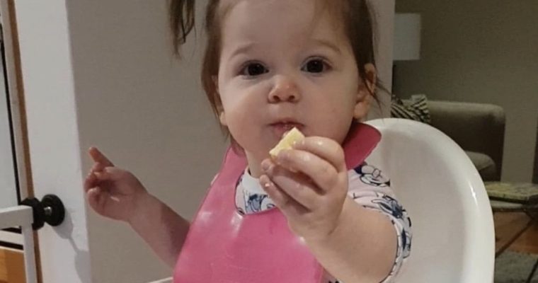 My 19 month old eats everything!