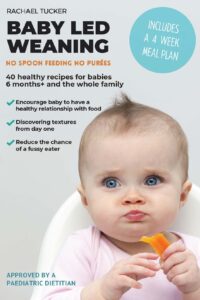 baby led weaning e-book