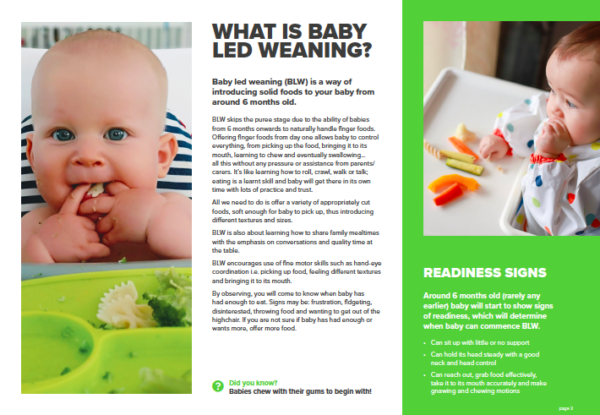 What is baby led weaning