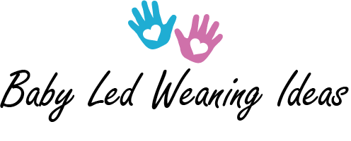 Baby Led Weaning Ideas